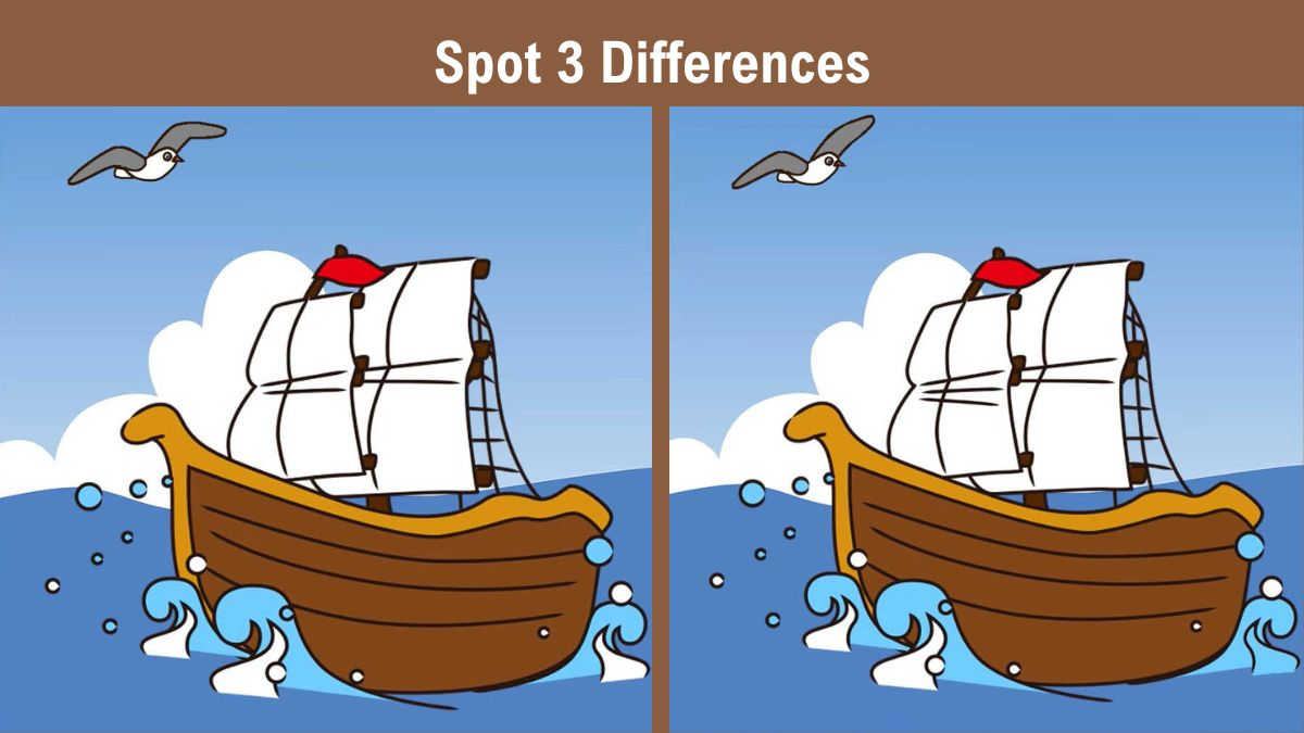 Spot 3 Differences in 10 Seconds