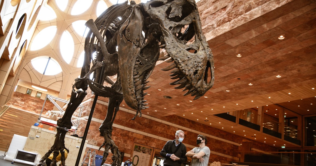 Forget digging for fossils. This museum 3D printed a full T-Rex skeleton instead