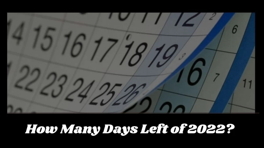 How Many Days Left of 2022, Countdown, Number of Days Left Until 2022