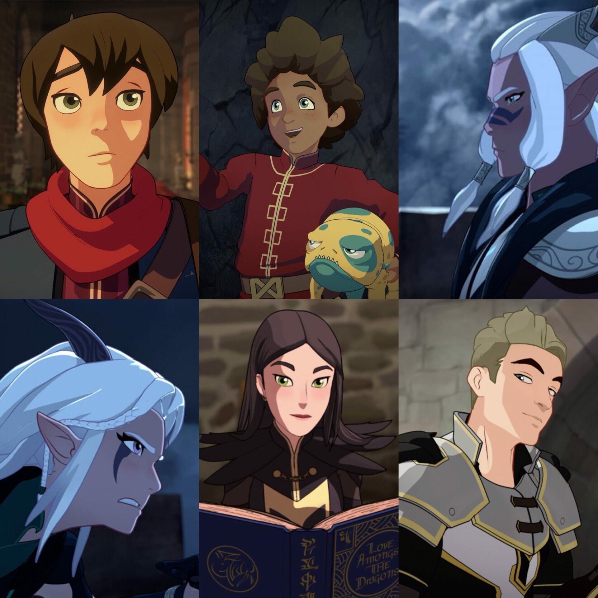 How Old Are The Major Characters In The Dragon Prince And When Are Their Birthdays?