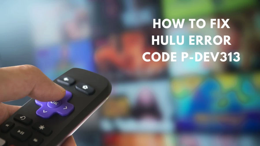 How To Fix Hulu Error Code P-Dev313? What Does Hulu Error Code P-Dev313 Mean?