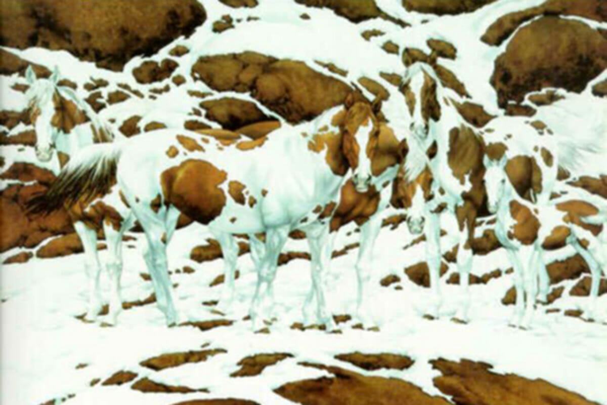 How many horses can you see in this mind-boggling optical illusion snow scene?