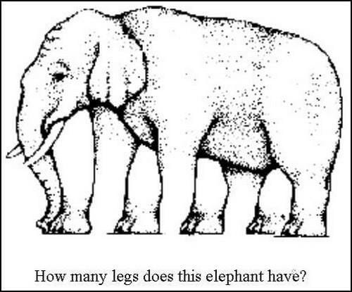 How many legs does this elephant have? The latest optical illusion to sweep the web will leave you scratching your head