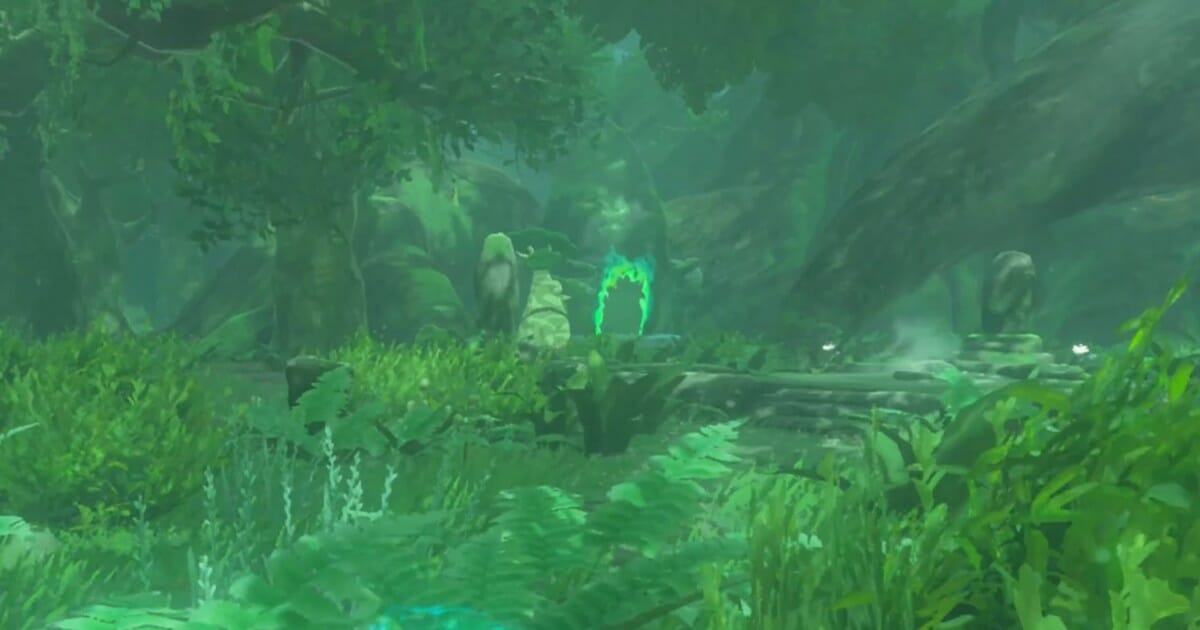 How to get into the Lost Woods in Zelda: Tears of the Kingdom