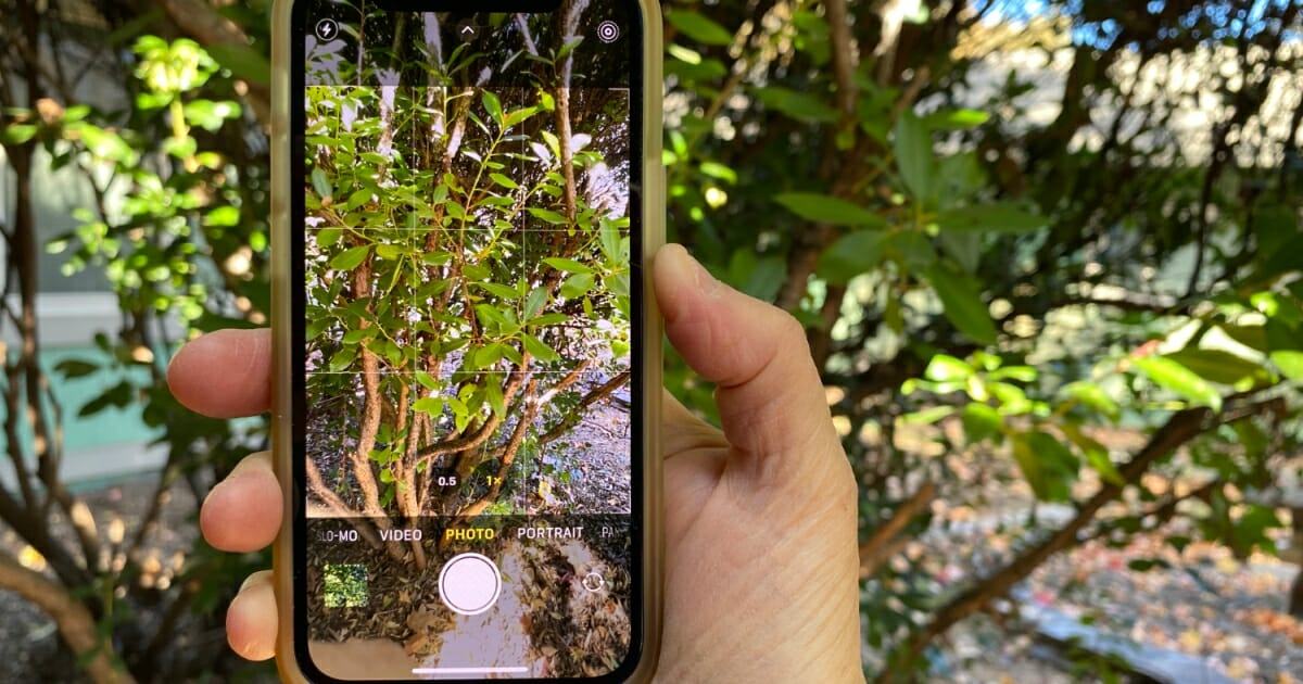 How to turn a Live Photo into a video on your iPhone