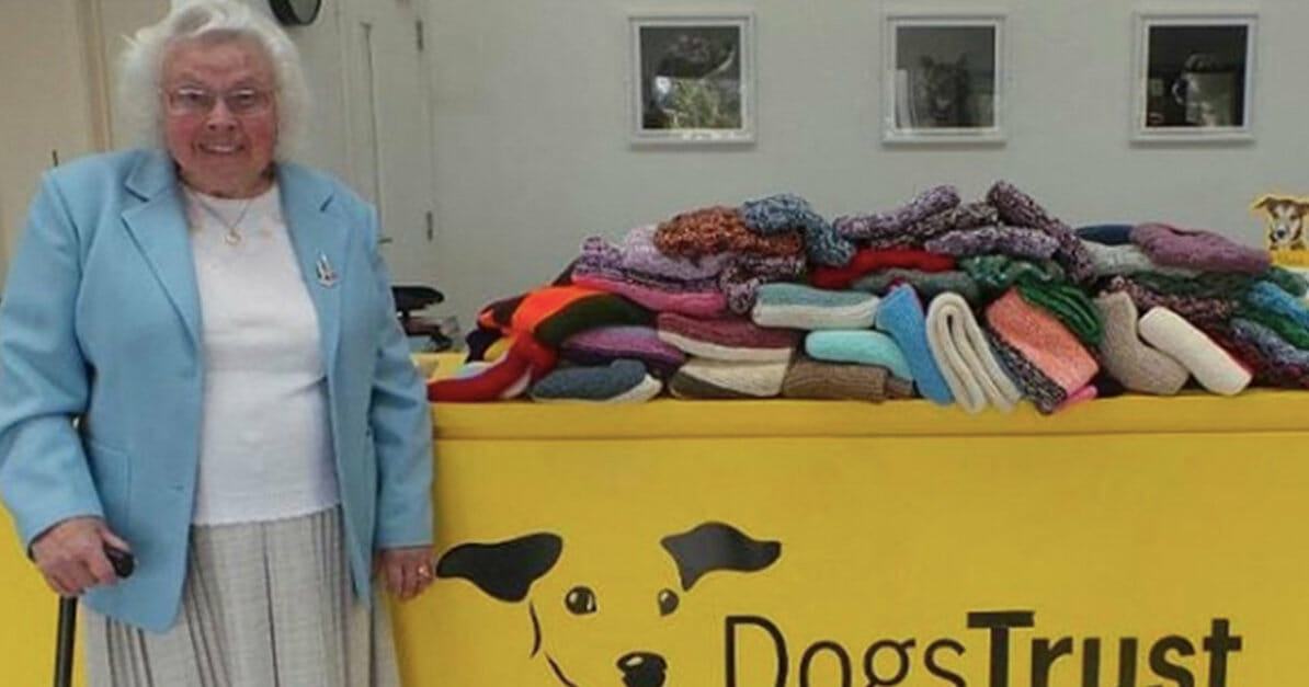 IMAGE.  A beautiful and moving story about an old woman knitting 450 coats and blankets for dogs to make shelter