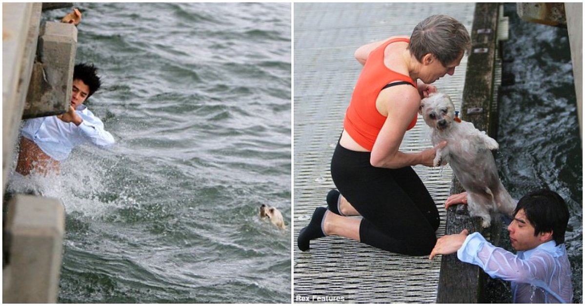 IMAGE.  A real hero.  How a boy saved a dog from drowning while walking on the pier