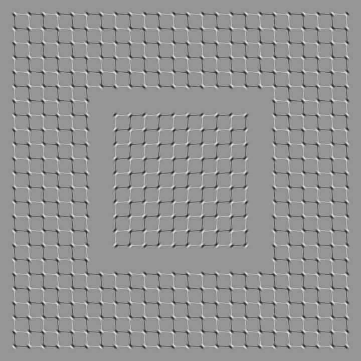 'Intense' optical illusion leaves people divided – so what do YOU think is happening in this picture?