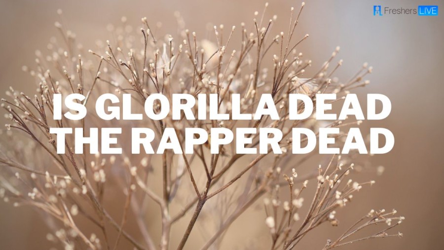 Is GloRilla Dead The Rapper Dead? What Happened to Glorilla?