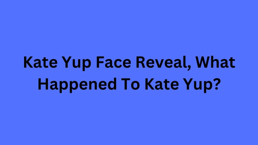 Kate Yup Face Reveal, What Happened To Kate Yup?