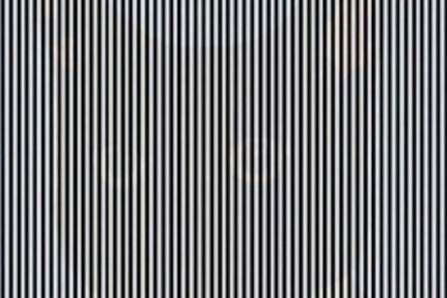 Mind-bending optical illusion reveals something unexpected when you shake your head – can you see it?