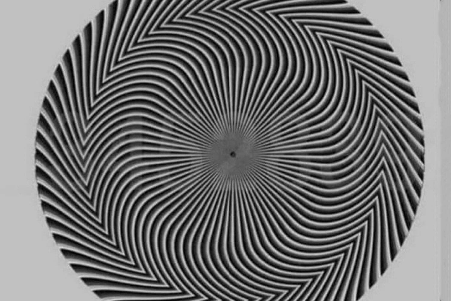 Mind-boggling optical illusion with black and white circle shows a hidden number – and everyone is seeing it differently