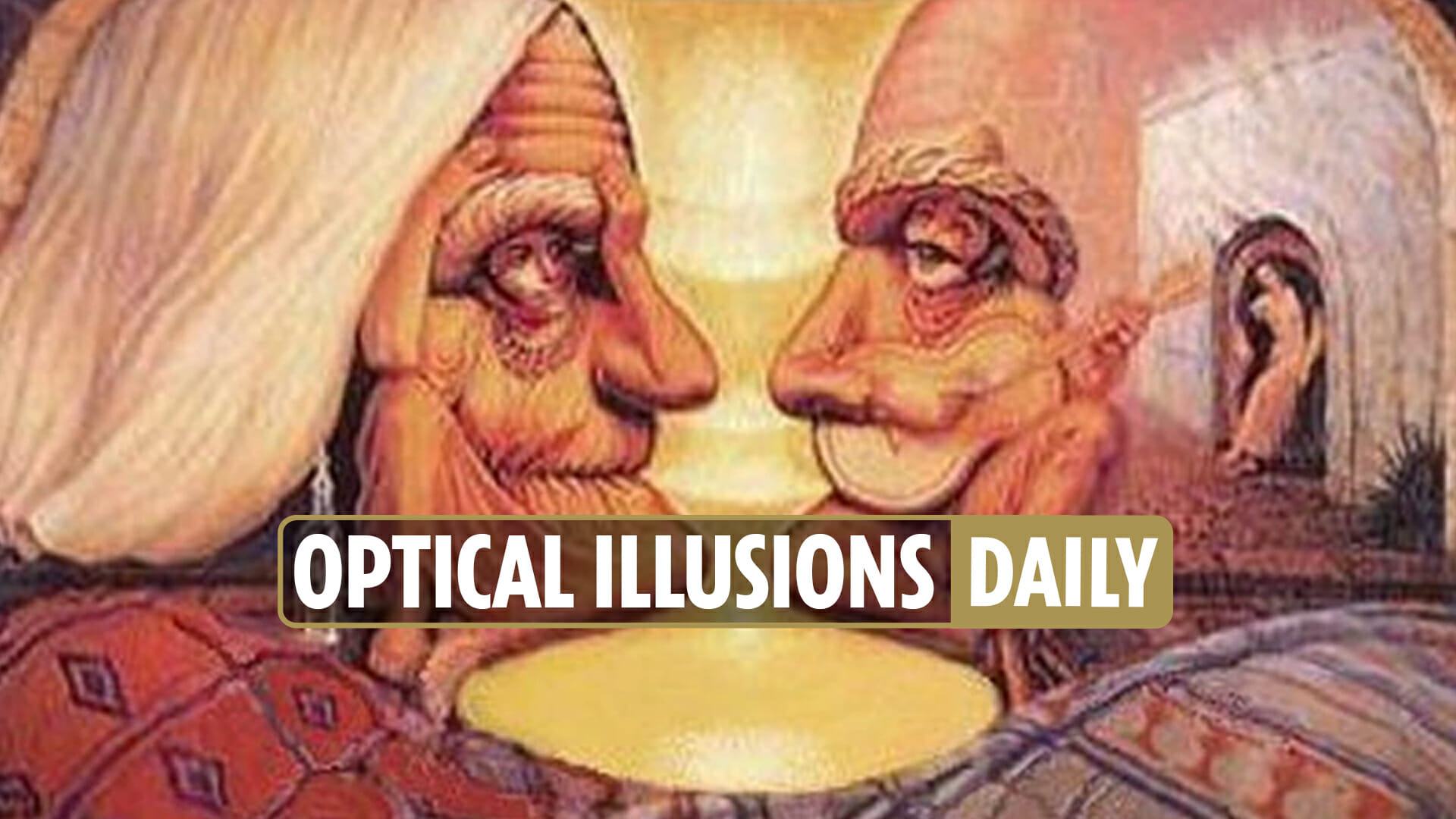 Optical Illusions daily — What you see first in this mind-bending image reveals your main personality trait