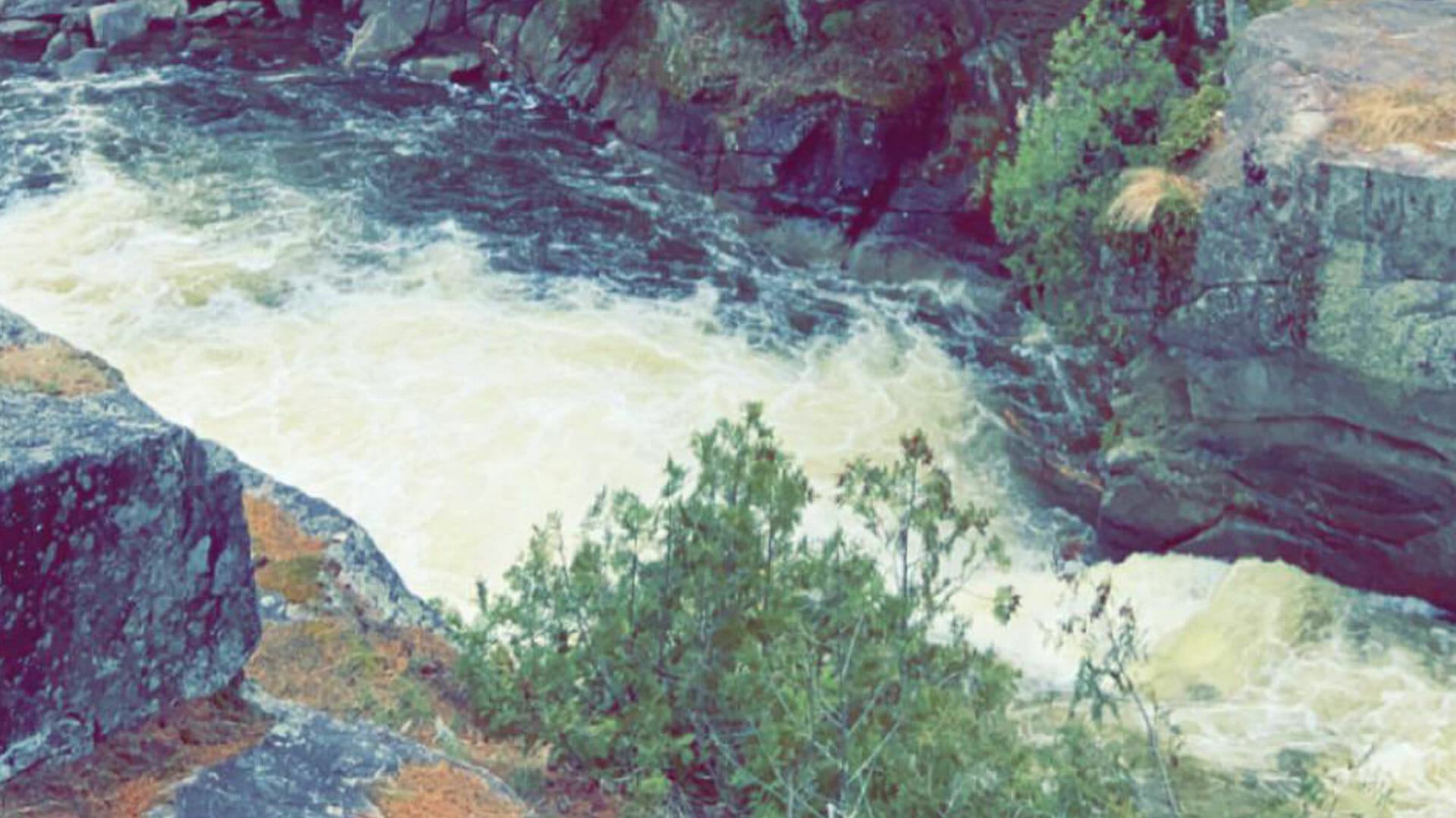 Optical illusion baffles the web as people try to work out which way the river is flowing - but can you tell?