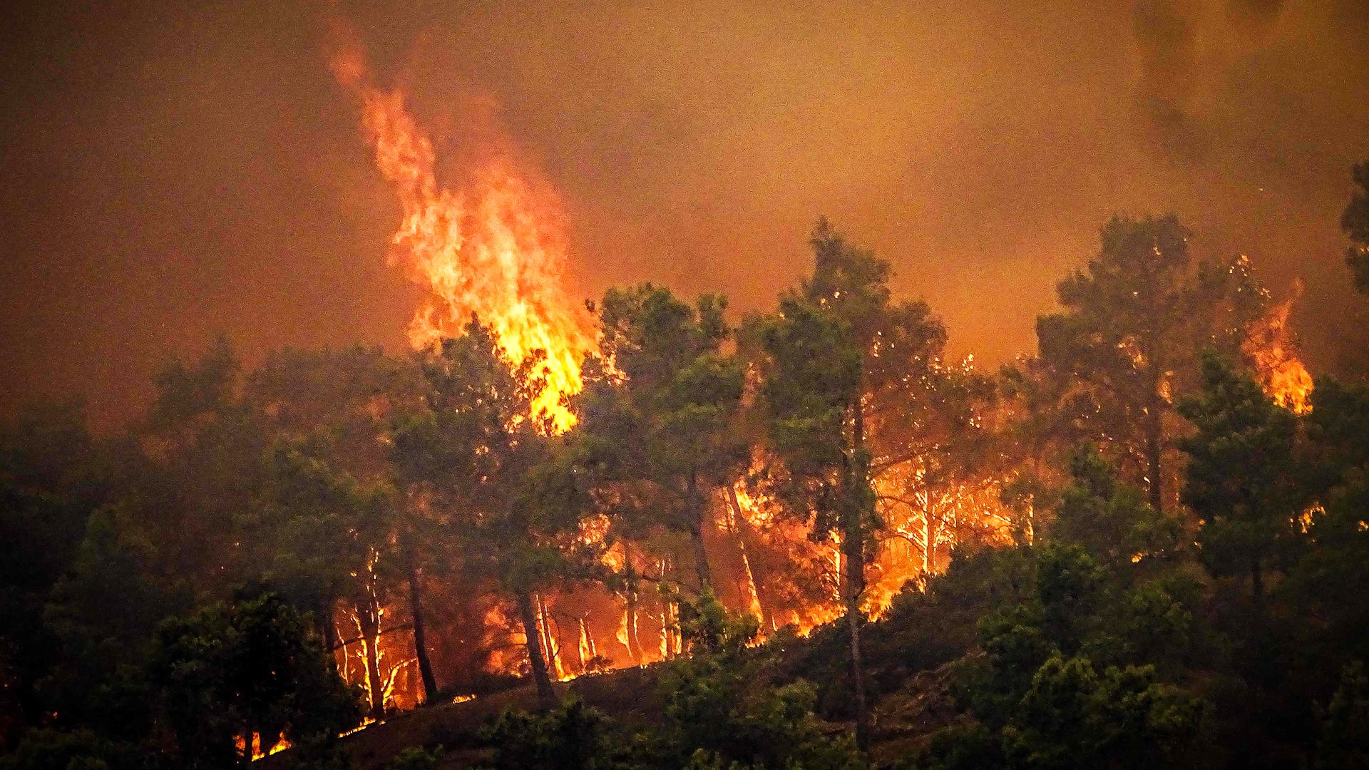 Rhodes fires: Brits urged to evacuate areas of Greek holiday island as inferno sees thousands flee hotels & beaches