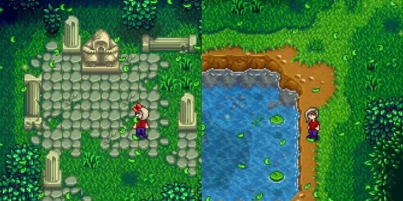 Stardew Valley: 10 Things To Do In The Secret Woods