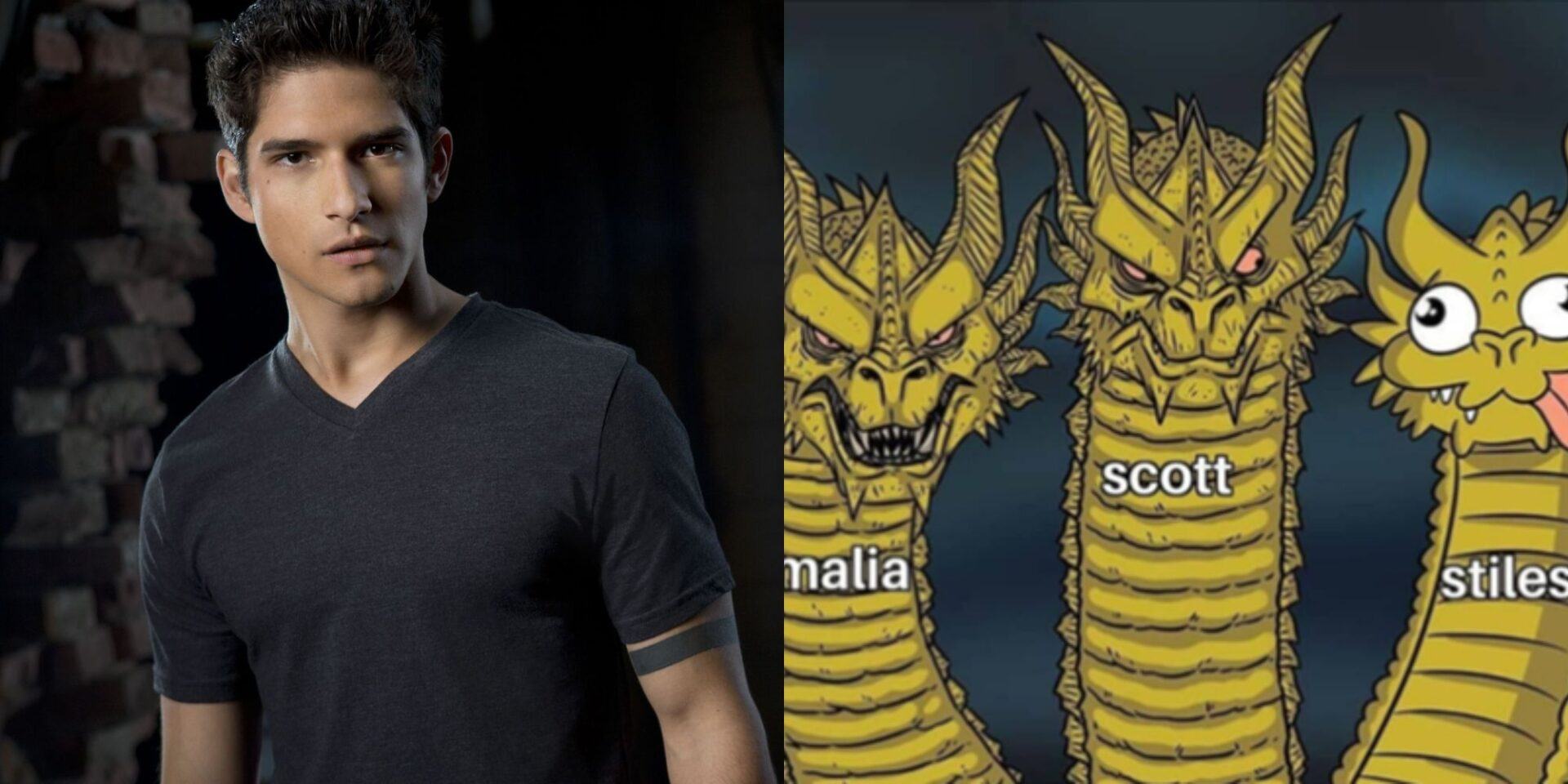 Teen Wolf: 10 Memes That Perfectly Sum Up Scott's Character