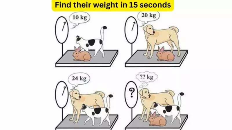 Test your IQ.  Can you find out the weight of the cat, dog and rabbit in 15 seconds!