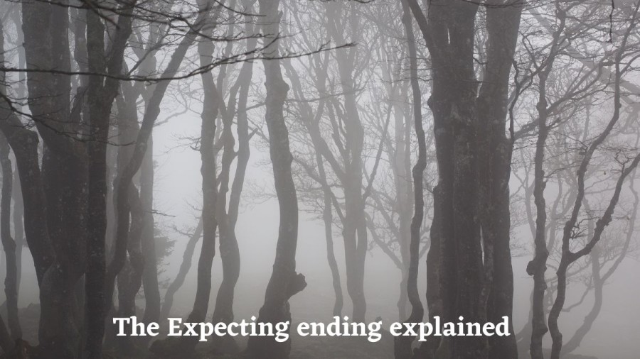 The Expecting Ending Explained, The Expecting Episode Summary And More