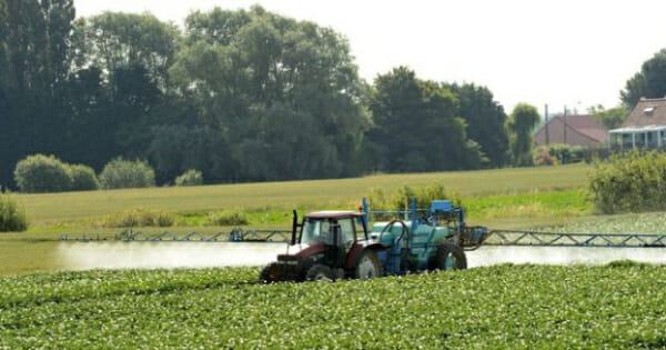 The government wants to extend the prohibitions of uses of pesticides as early as 2022