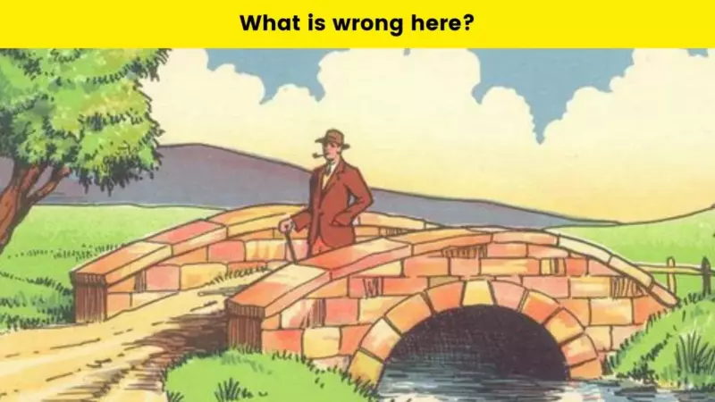 There is a big mistake in this picture of the bridge.  What can you find out in the given time?  See how smart you are.