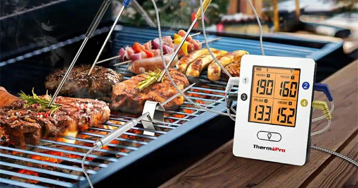 ThermoPro TP25 thermometer: tangled up in meat