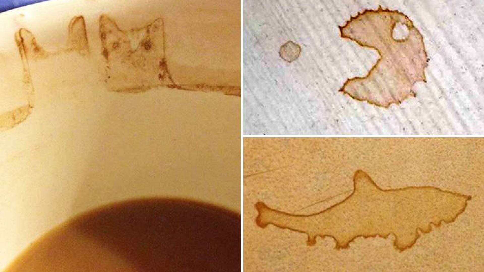 These coffee stains have become unintentional works of art... and they're so naff it'll make you smile