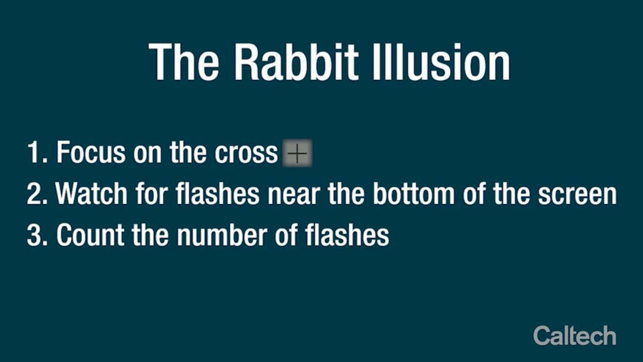 Try this fascinating 'time-travel illusion' that tricks your brain into seeing something that isn't there