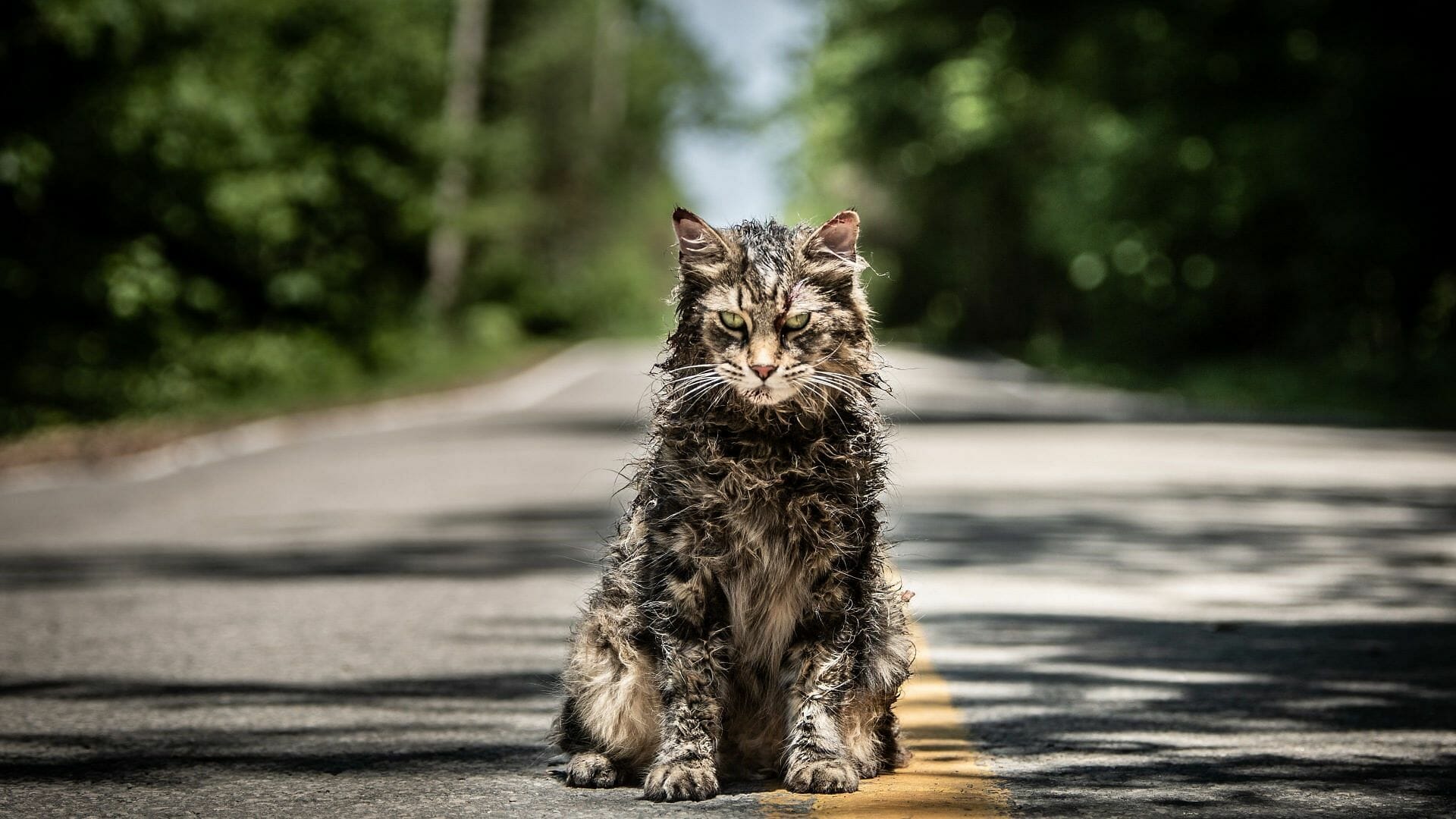 A still from Pet Sematary (Image via IMDB)