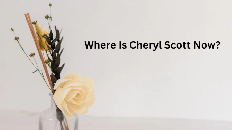 Where Is Cheryl Scott Now? Is Cheryl Scott Leaving Chicago?