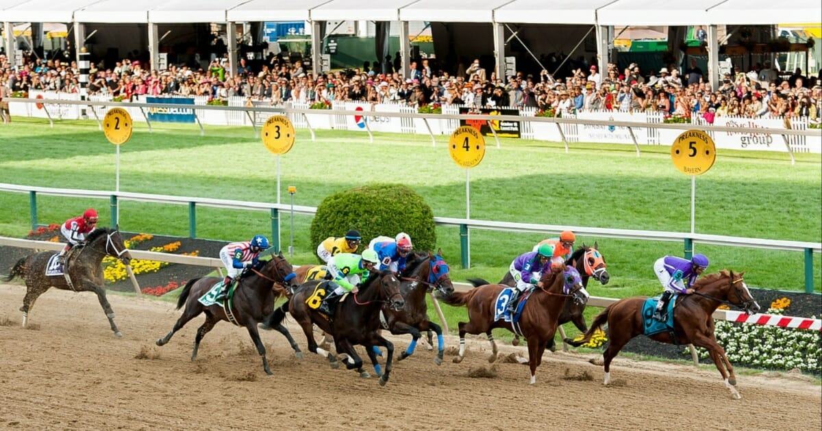 Where to watch the 2023 Preakness Stakes: How to live stream the horse race for free