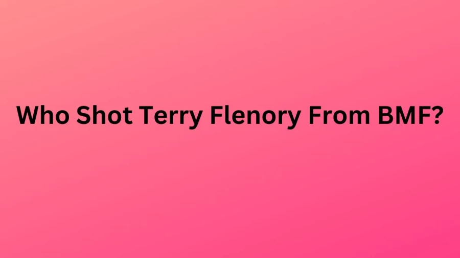 Who Shot Terry Flenory From BMF? Is Terry Flenory Still Alive?