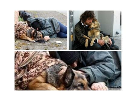 Worth reading: Interesting story: How the lives of a homeless man and his dog changed