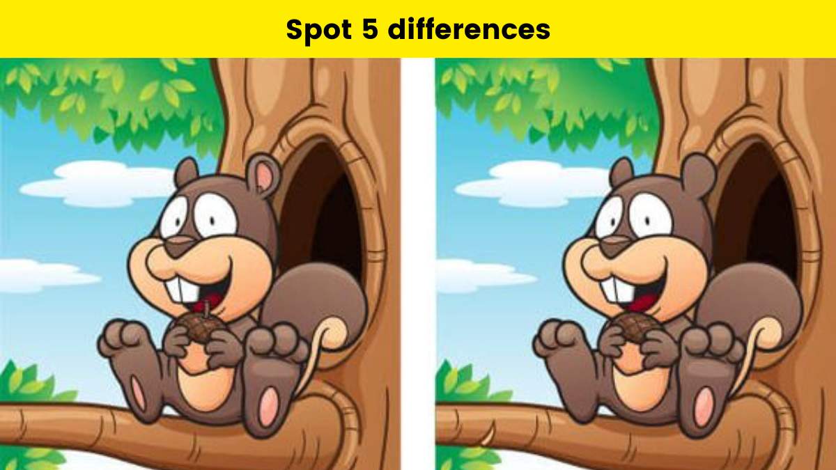 Can you spot 5 differences here?