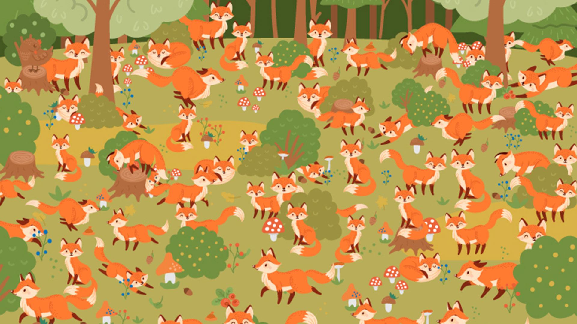 You’re the record holder if you can spot the blue-eyed fox in this optical illusion in under 25 seconds