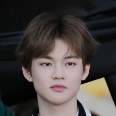 Zhong Chenle