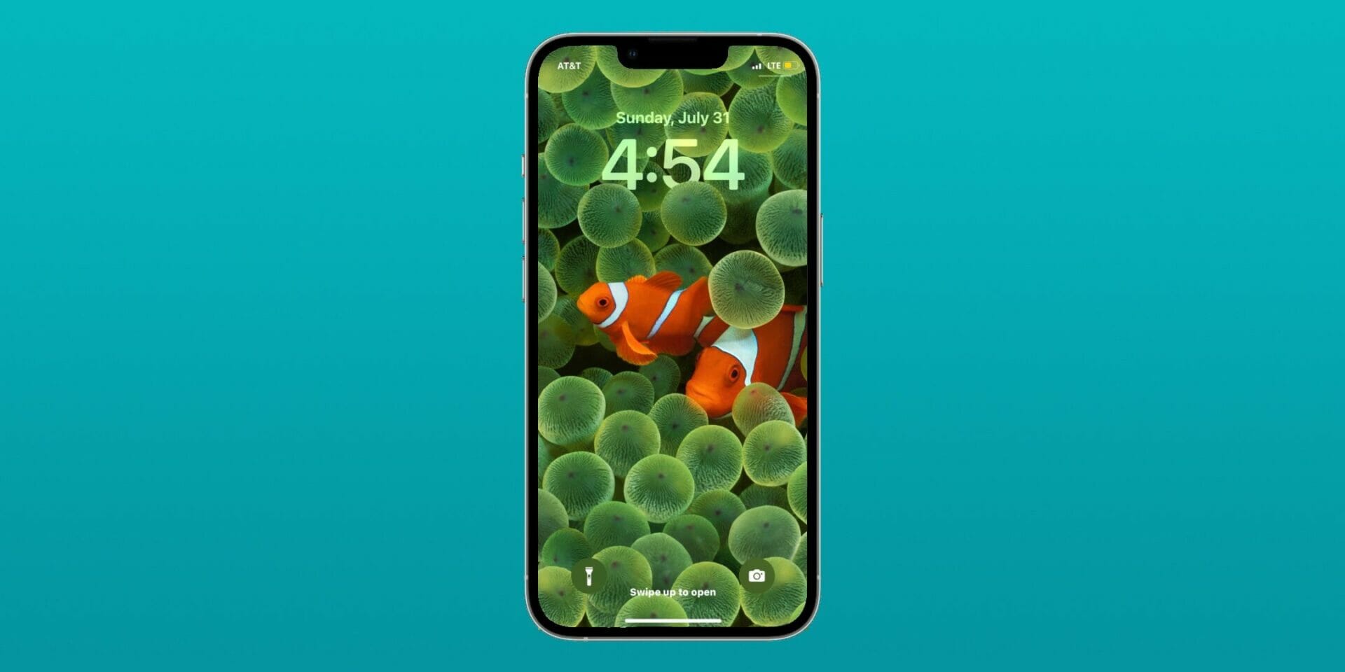 The iOS 16 Clownfish wallpaper for iPhone.