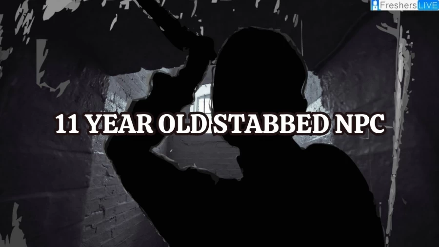 11 Year Old Stabbed NPC: Man Stabbed a Child After Being Called NPC