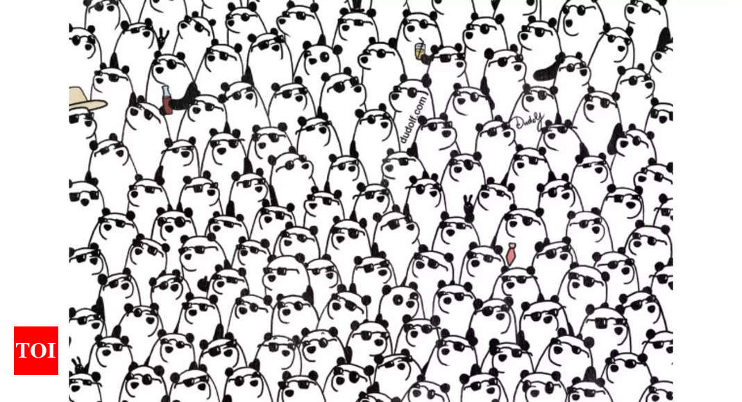 Only those with sharp observation skills can find the 3 pandas without sunglasses