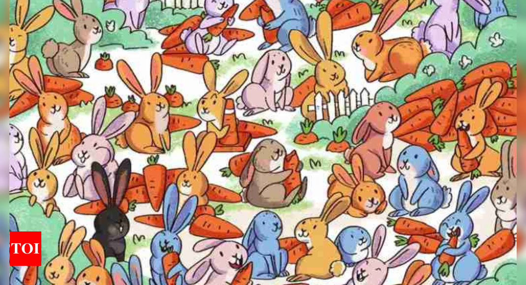 Optical illusion: Can you find the hidden hazard cone among rabbits?