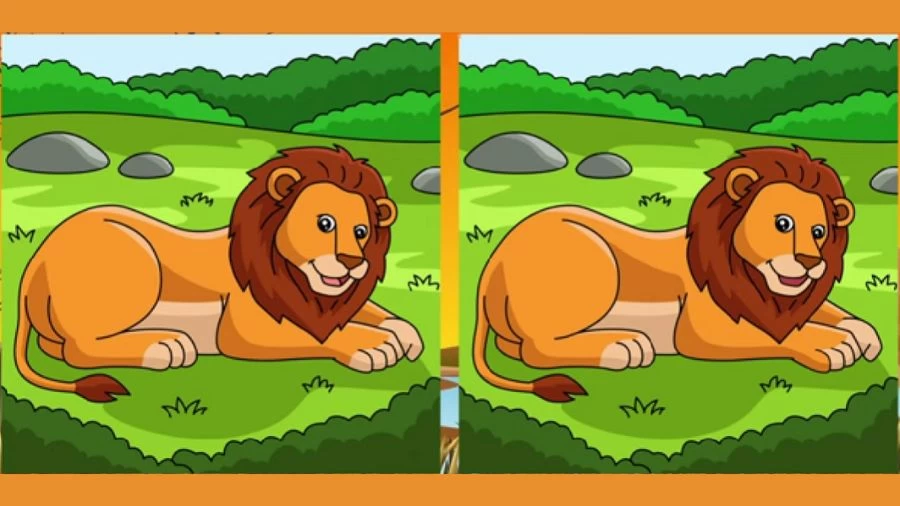 Optical Illusion Spot the Difference Picture Puzzle: Can You Find the 3 Difference Between Two Images Within 25 Seconds?