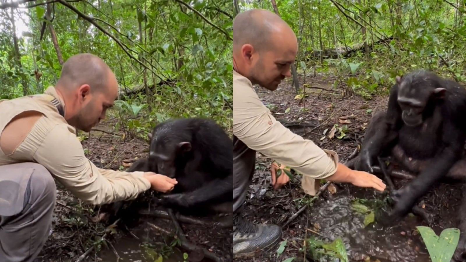 Anand Mahindra derives Monday motivation from this video of a chimpanzee and a human