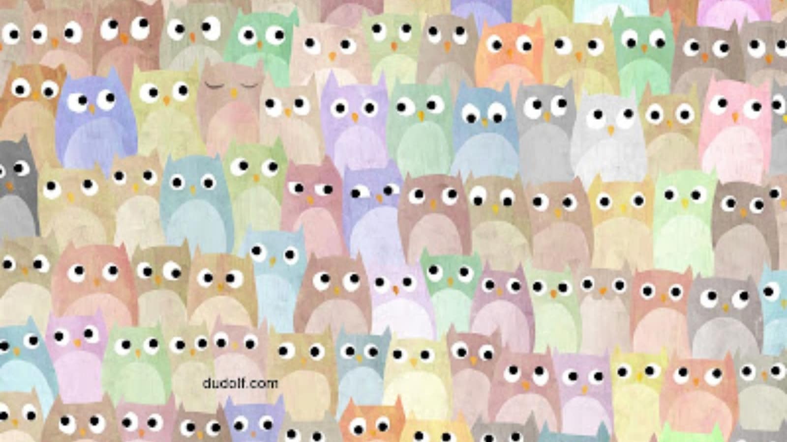 Brain Teaser: Can you locate a cat in this tricky image of owls?