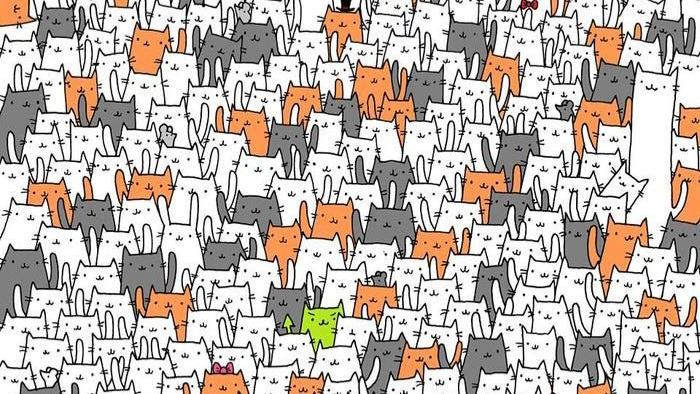 Can You Spot A Bunny Hidden in a Sea of Cats?