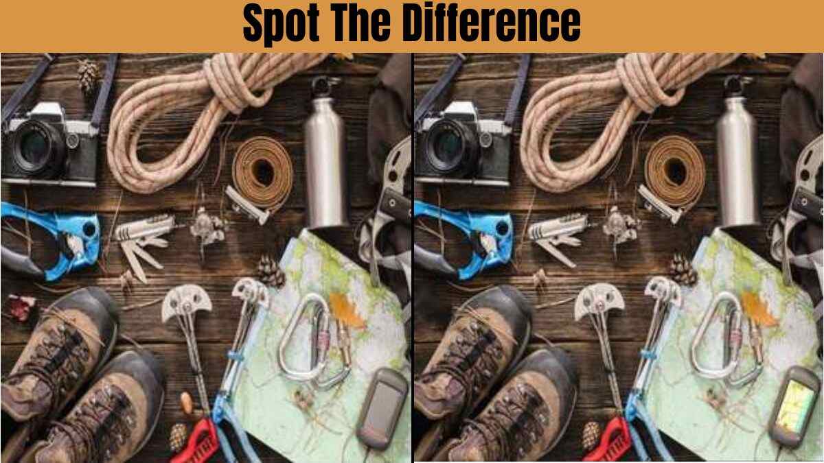 Spot The Difference: Spot These 5 Differences In 11 Seconds