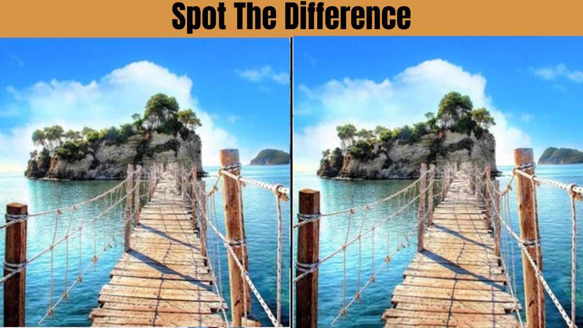 Spot The Difference: Spot 5 Differences in 11 Seconds