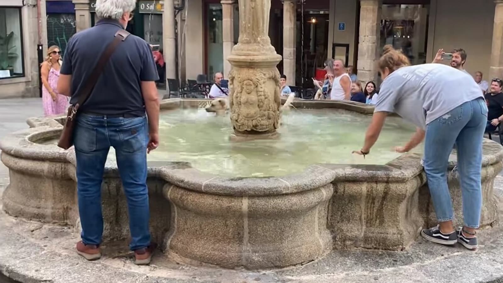 Dog jumps into fountain as its human tries to catch it