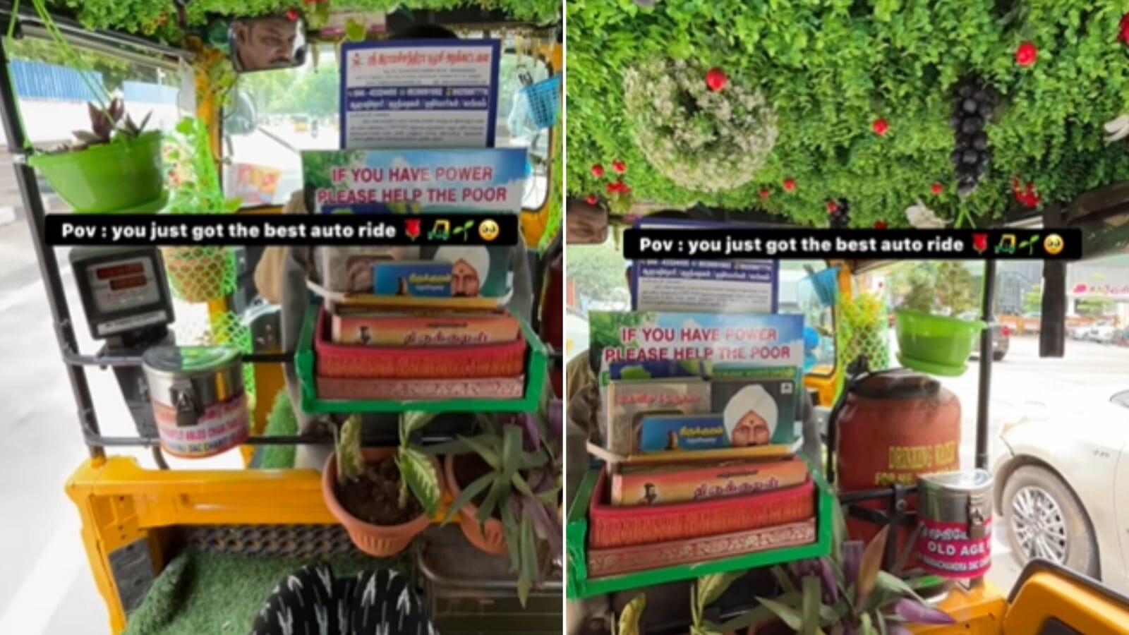 Driver creates mini garden inside auto, video wows people