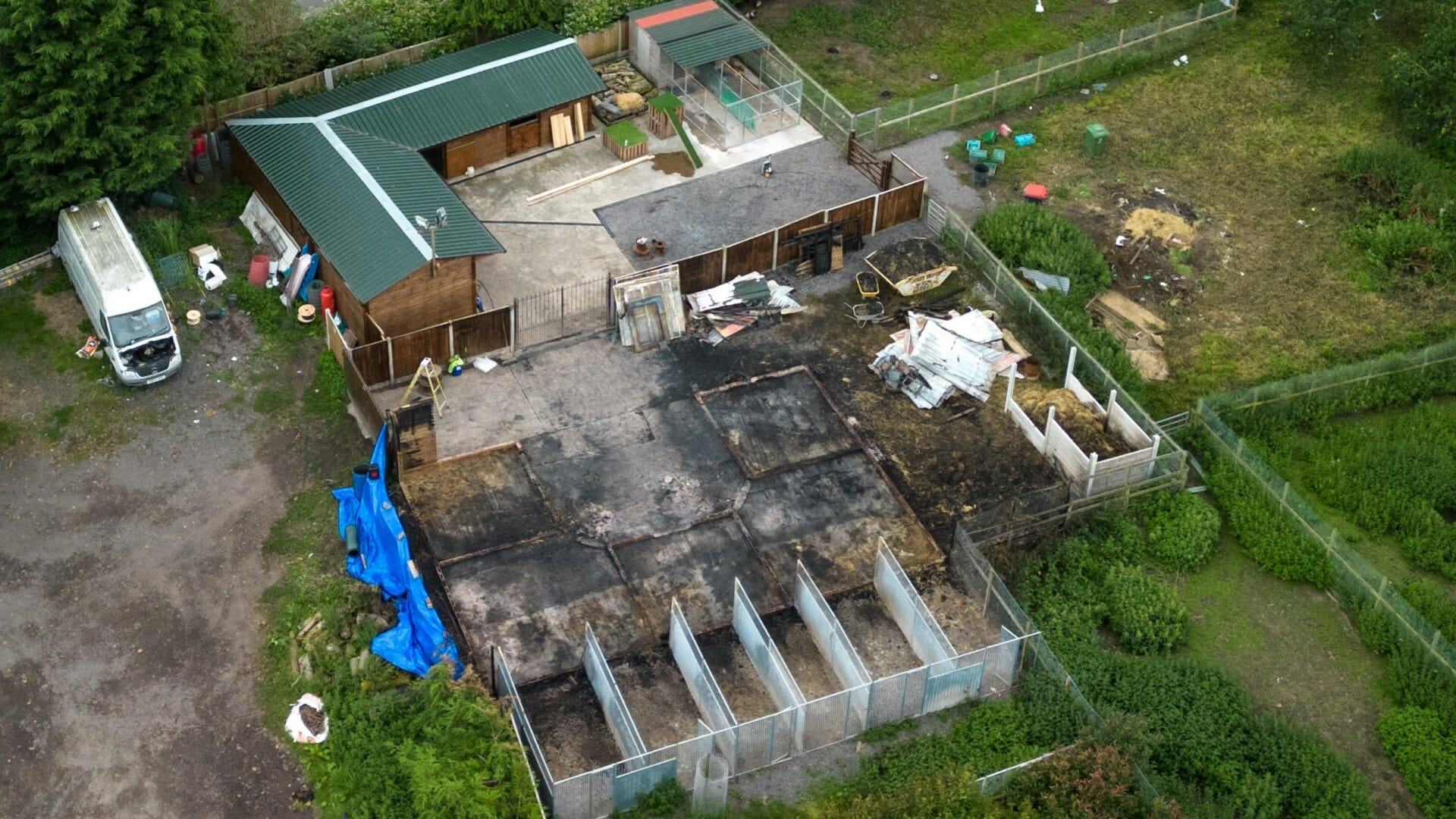 Eleven pet dogs burnt to death in 'absolutely devastating' fire at private Staffordshire kennels