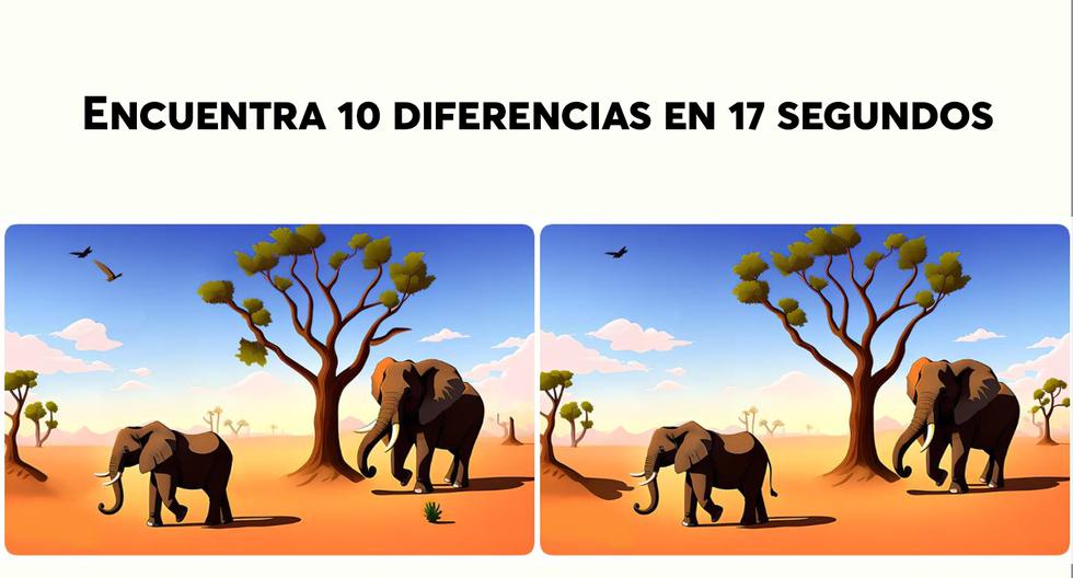 Encuentra 10 diferencias en imágenes del desierto en 17 segundos